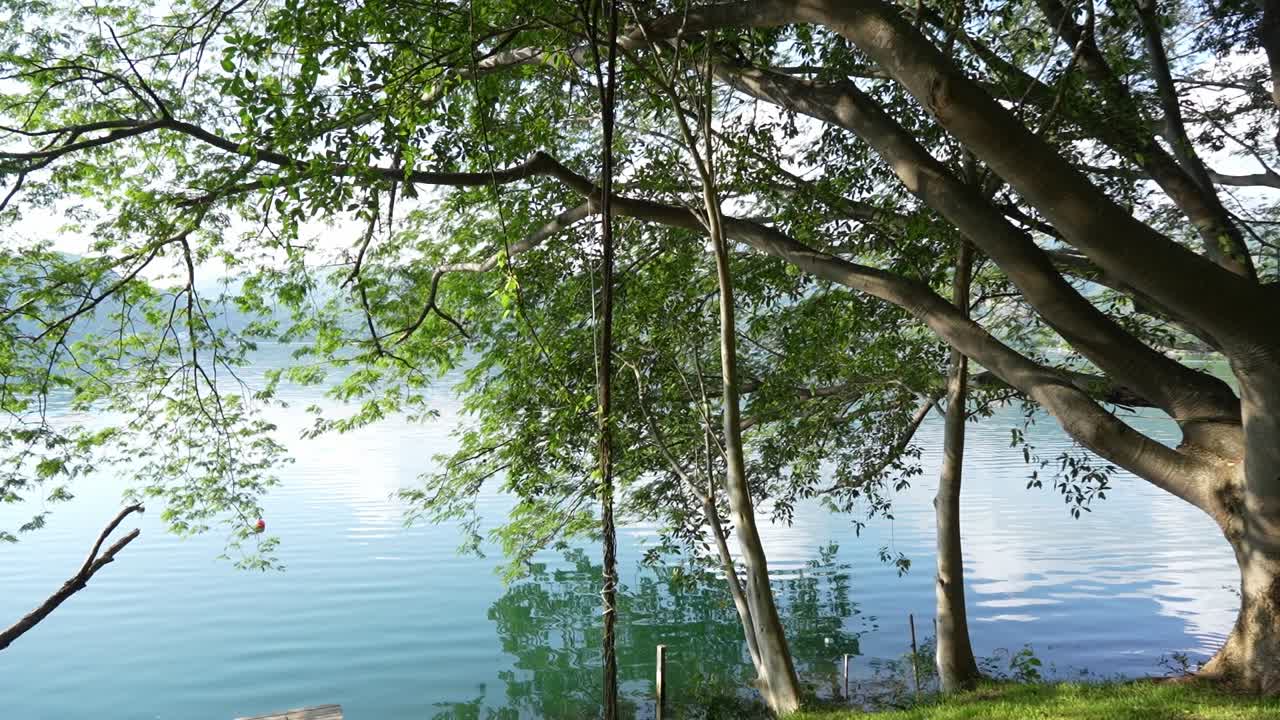 Tree Reflection on Blue Water.