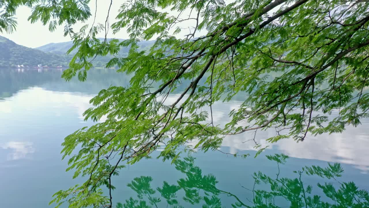 Peaceful Nature Reflections.