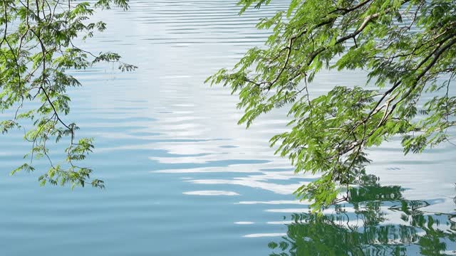 Sunlit Waves with Leafy Frame.