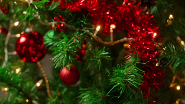 Gift Under The Christmas Tree.