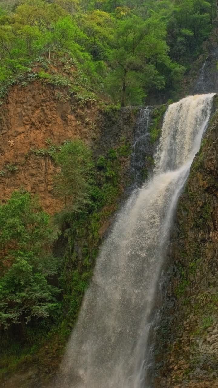 Cascading waterfall amid lush green foliage - Free Stock Video
