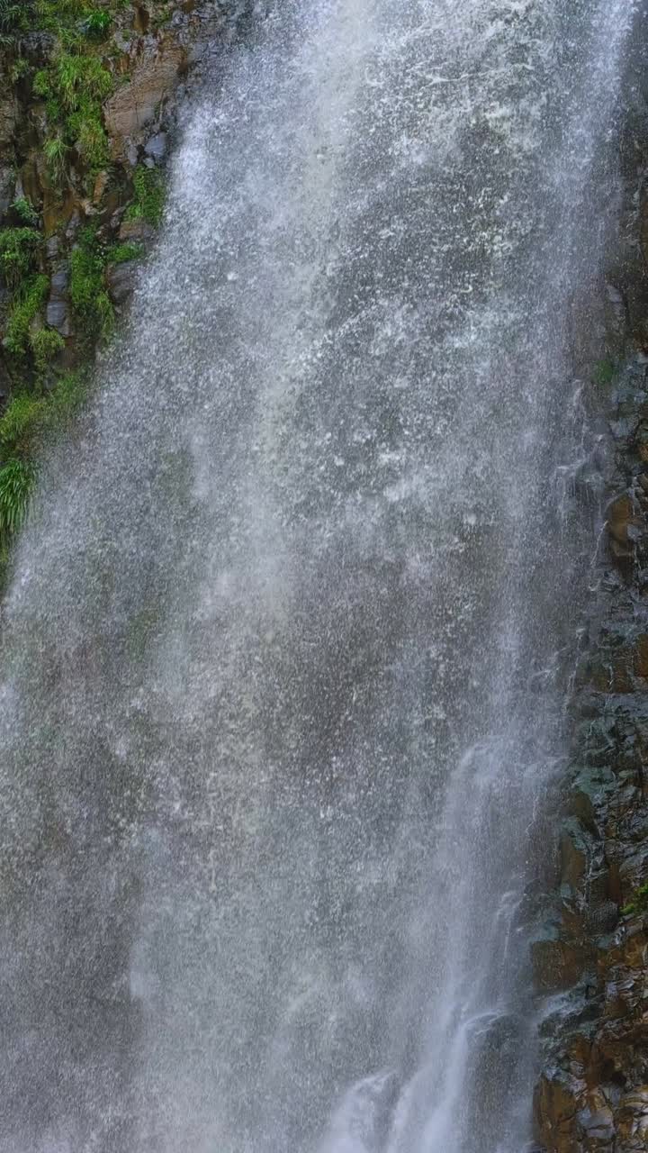 Cascading waterfall with lush greenery - Free Stock Video