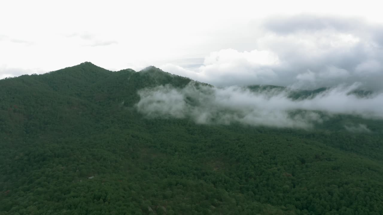 Misty mountain landscape with lush green forest - Free Stock Video