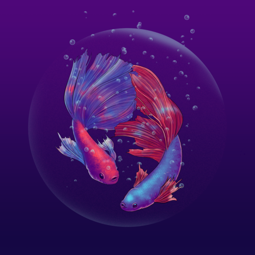 Two colorful fish swimming inside a bubble
