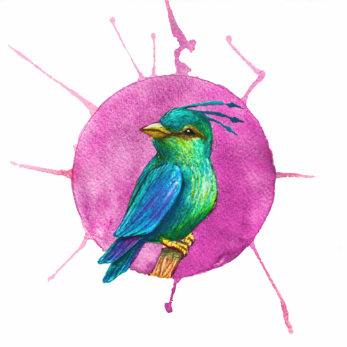 Brightly colored bird on a branch