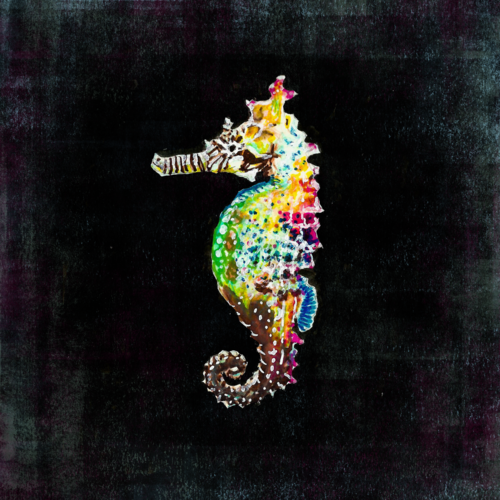 Brightly colored seahorse 