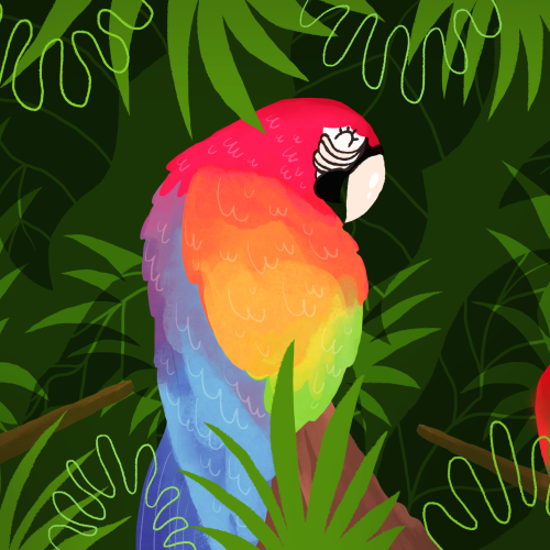 Macaw Birds perched in the trees