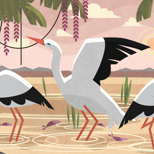 Storks standing in a lake