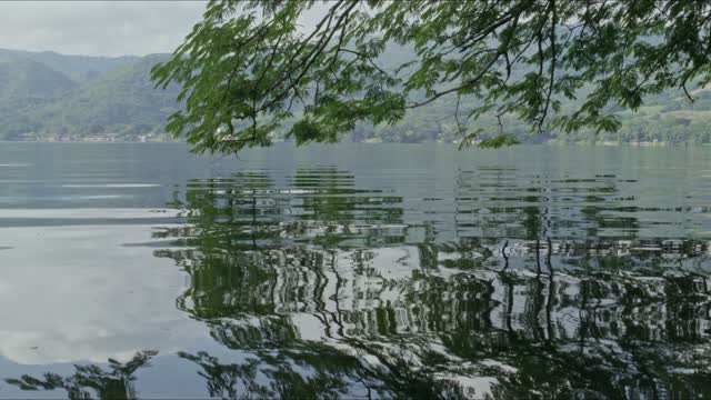 Distorted Leaf Reflections on Lake.