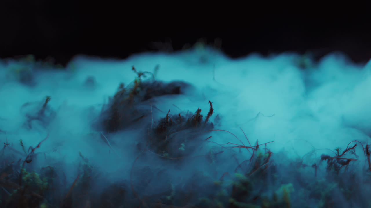 Hand Rising from Grave.