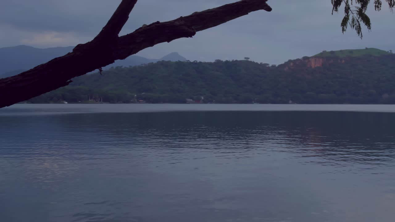 Panoramic Lake with Foreground Branch.