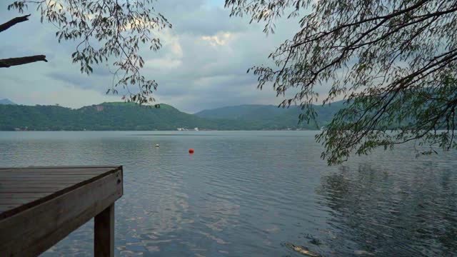 Dock Corner Framed by Branches.