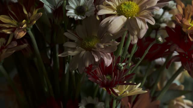 Detail Shot of Autumn Table Setting.