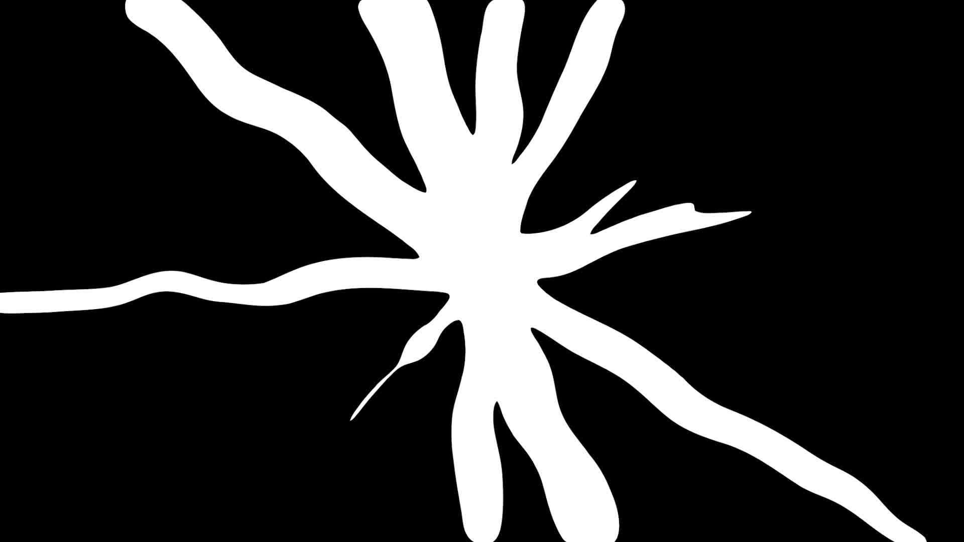 Free Premiere Pro Frame Template Downloads Mixkit