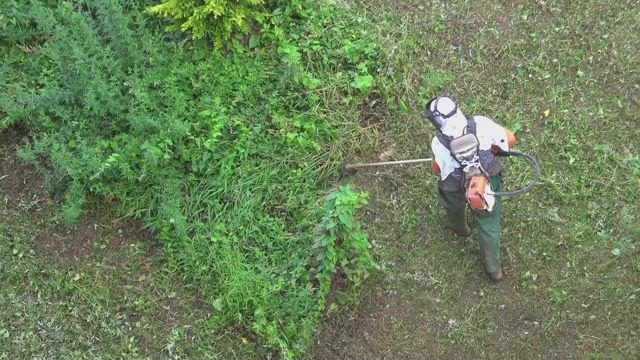 A man cutting the undergrowth .
