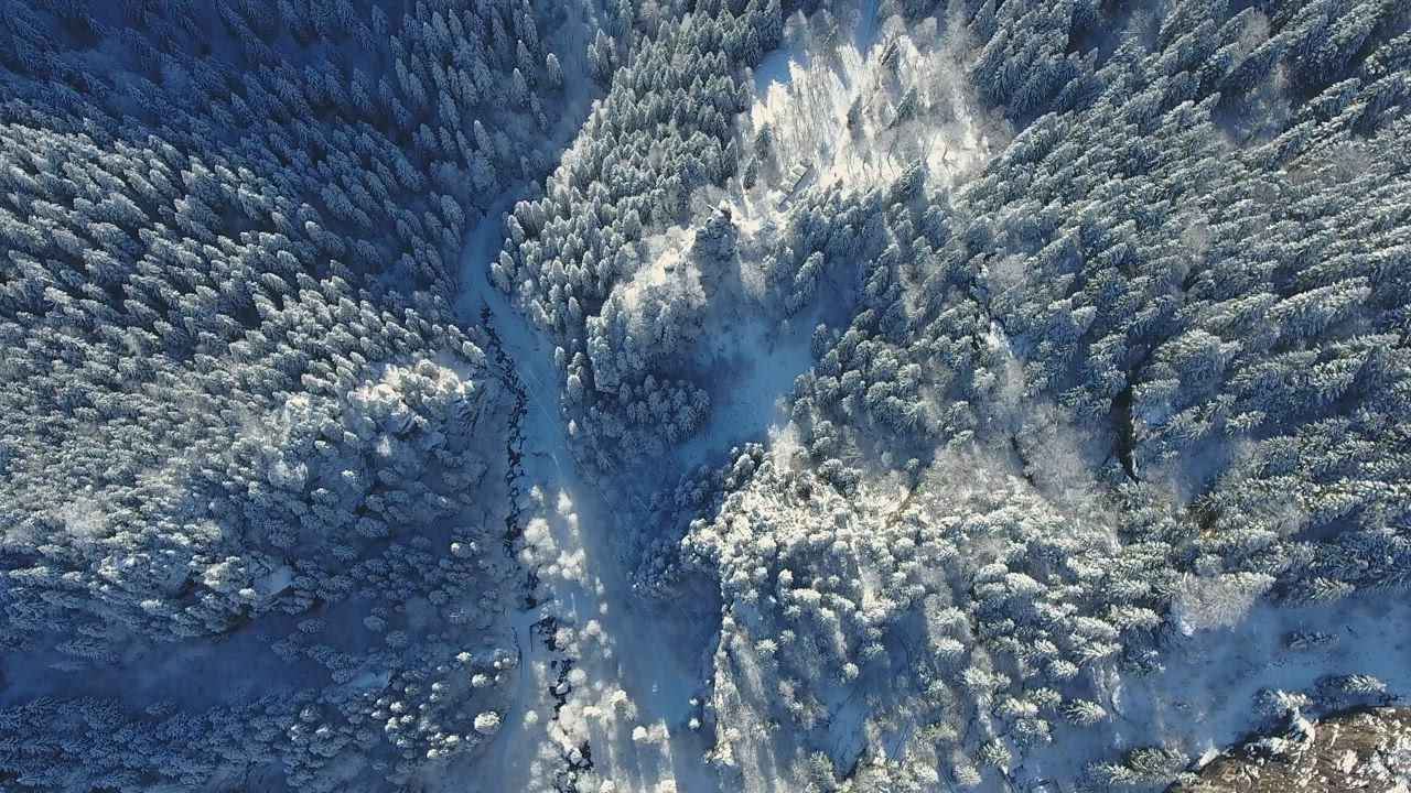 Aerial view of snowy forest in the mointains - Free Stock Video