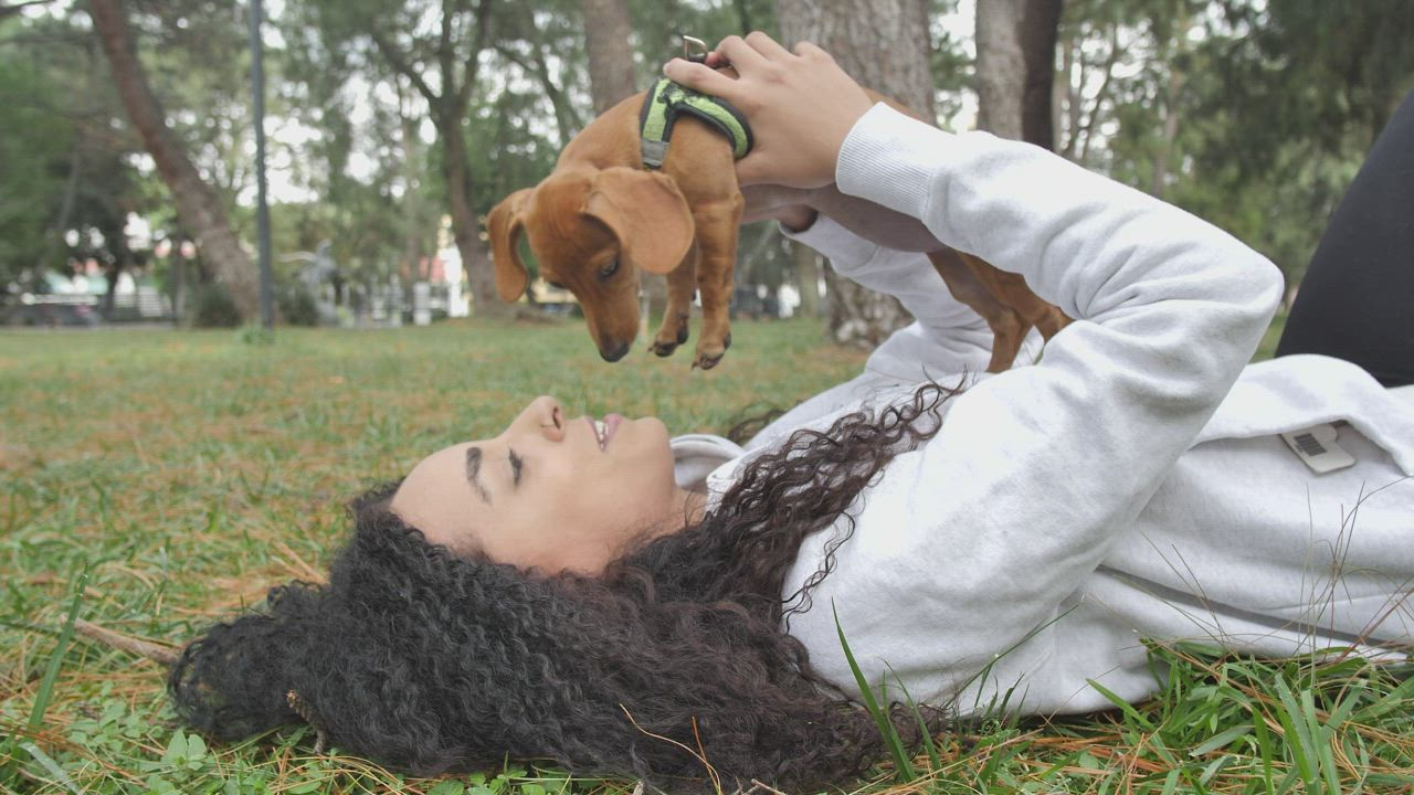 Girl lying on the grass holding her little dog on top - Free Stock Video