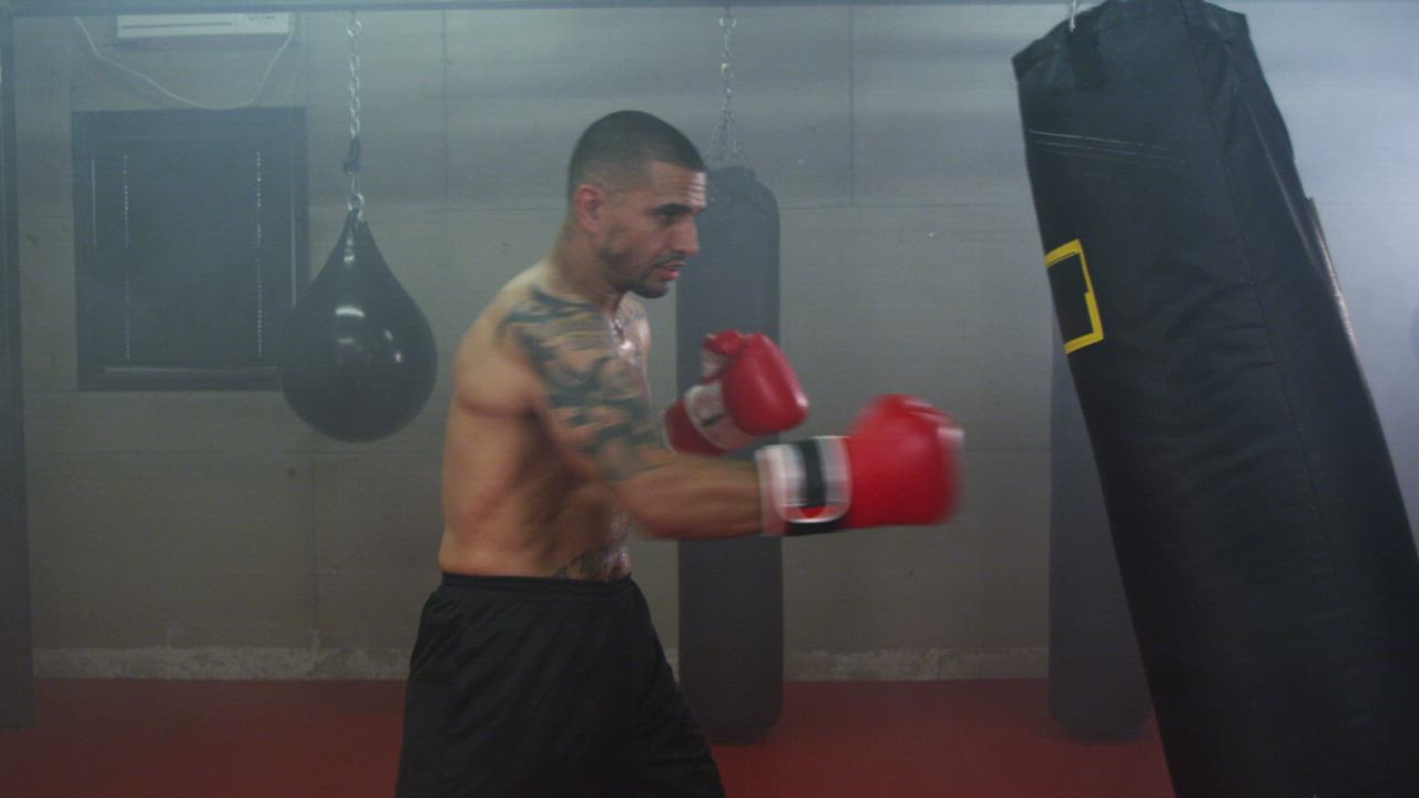Boxer training hard - Free Stock Video