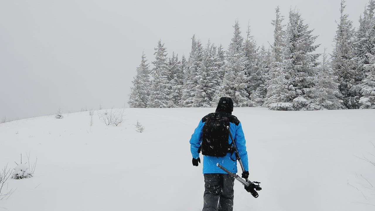 Photographer with a backpack walking in the forest while snowing - Free ...