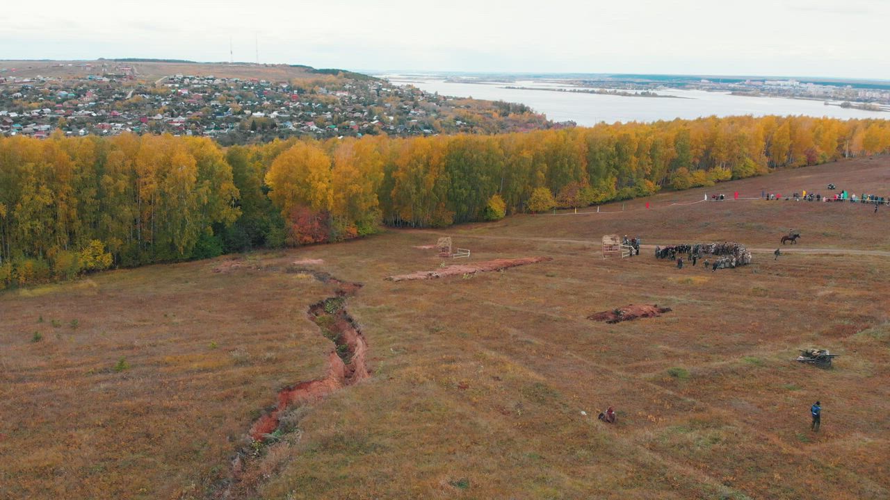 Military operations in an autumn forest - Free Stock Video