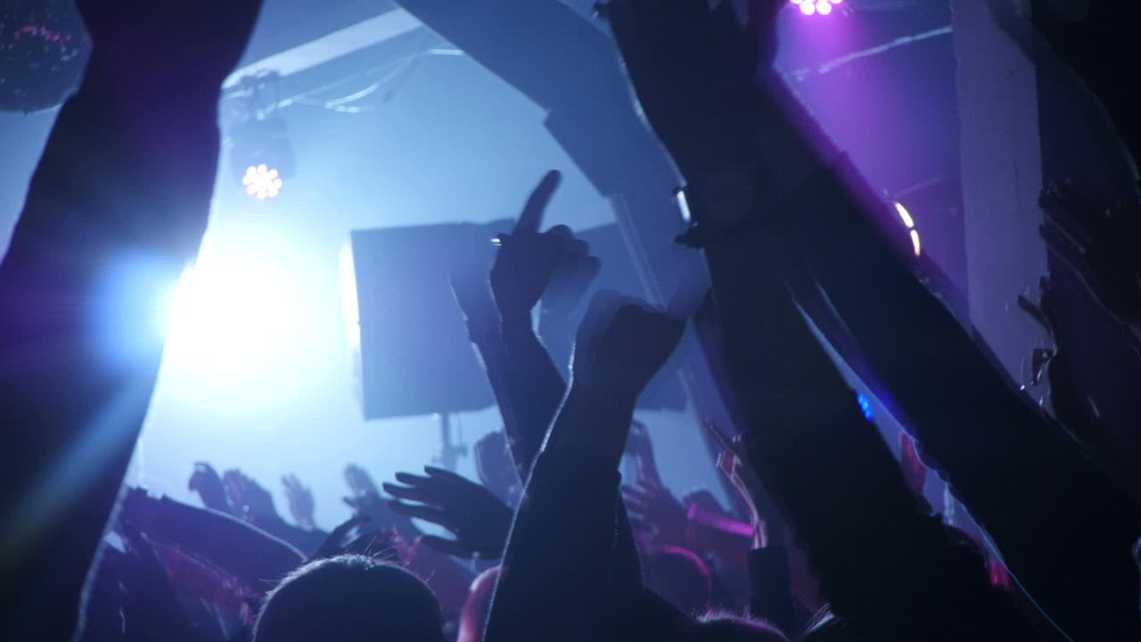 Crowd cheering at the concert - Free Stock Video