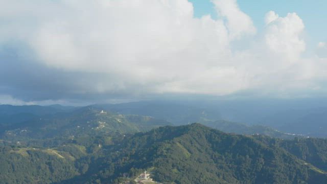 Mountain covered in trees.