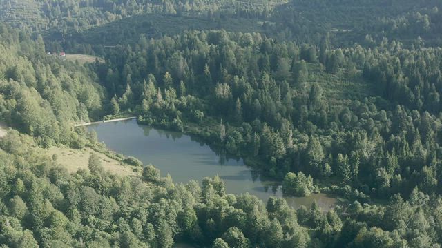 Lake in the middle of a forest.