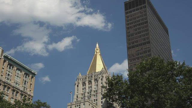 Buildings around Madison Square Park.