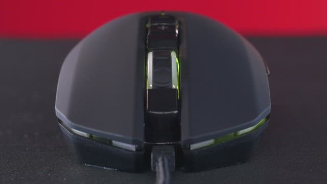 Mouse portrait with changing light.