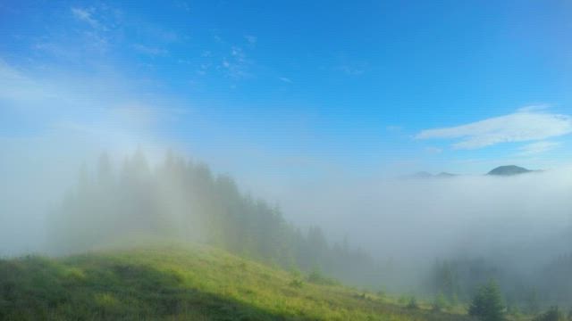 Mountains and forest with morning mist.