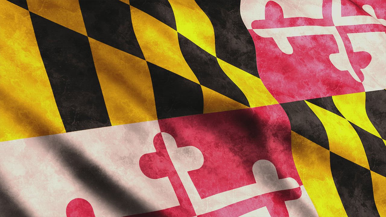 Flag of Maryland State in USA - Free Stock Video