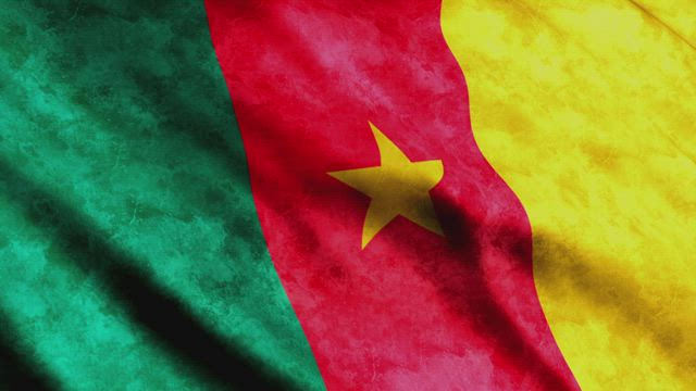 Flag of the African nation of Cameroon.