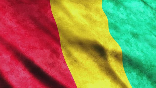 Guinea flag while waving in 3D.