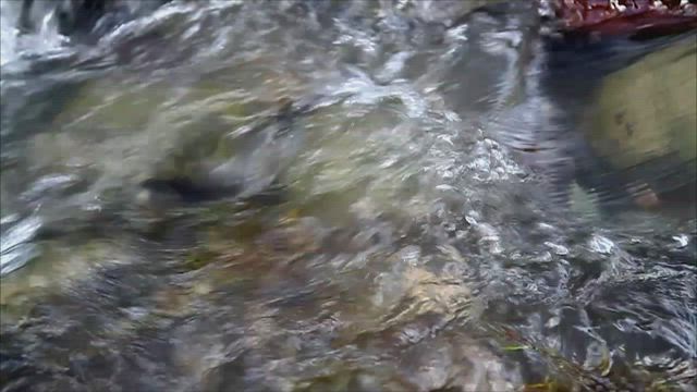 Stream in slow motion.