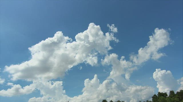 Light blue sky above woodland.
