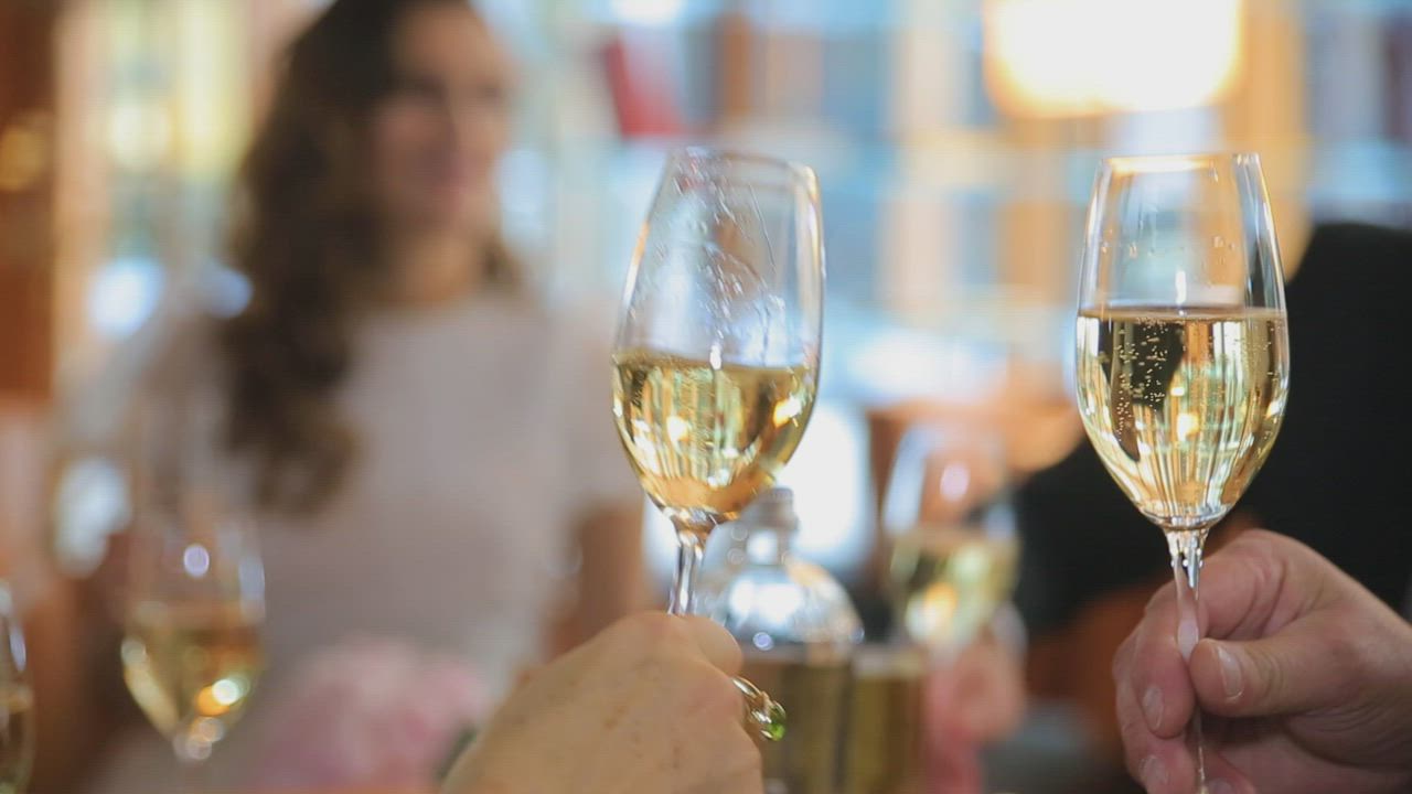 Toasting with wine - Free Stock Video