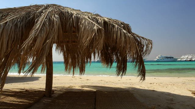 Palm umbrellas on the beach.