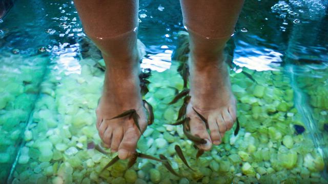 Spa foot treatment.