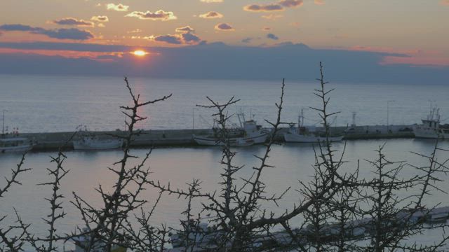 Fishing boats inside a harbor wall.