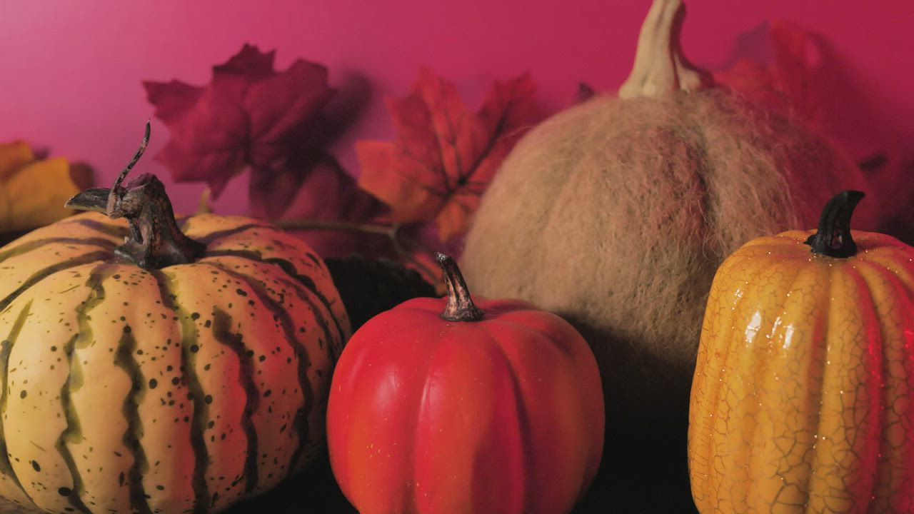 Pumpkins with a pink background - Free Stock Video