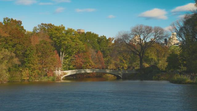 Bridge in Central Park.