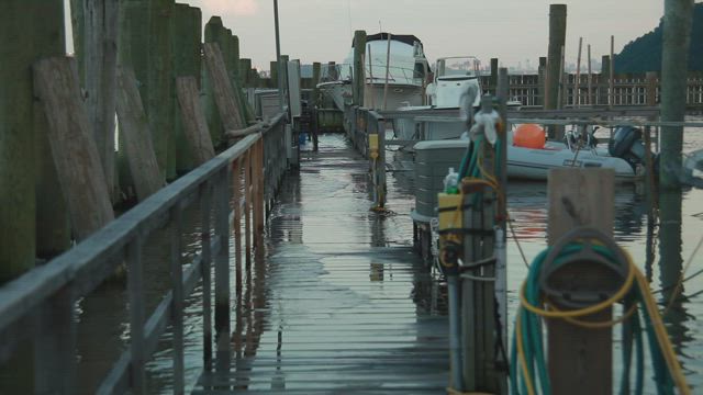 High tide in the harbor.