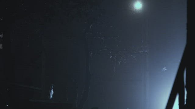 Silhouette of a thief with a shotgun in the night.
