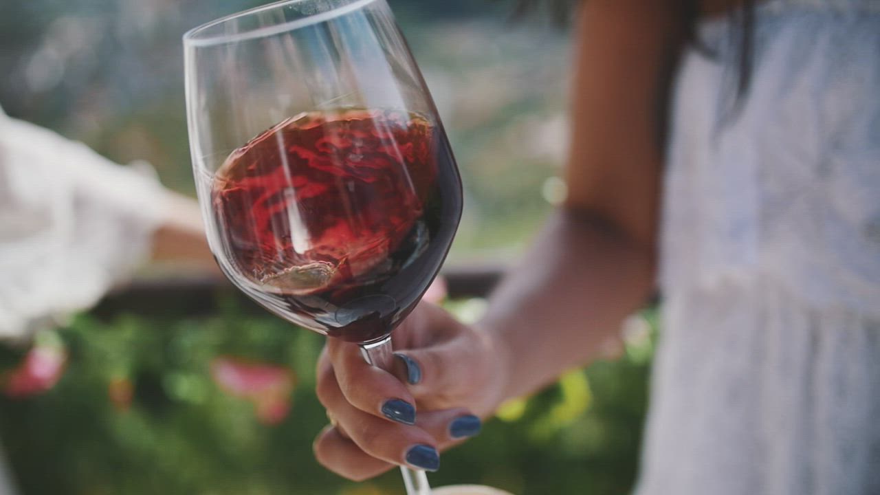 Woman holding a wine glass at a vineyard - Free Stock Video