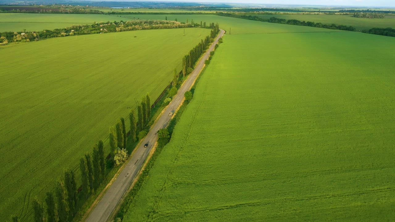 Aerial view of green fields and a road - Free Stock Video