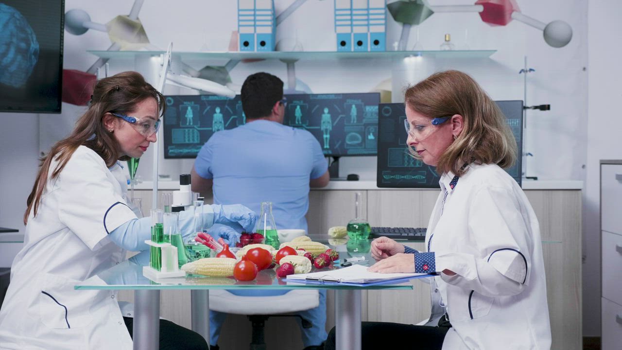 Scientists testing vegetable samples - Free Stock Video