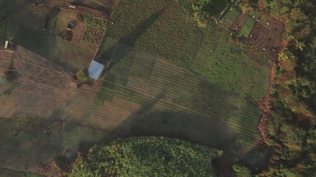 Small farm on the coast.