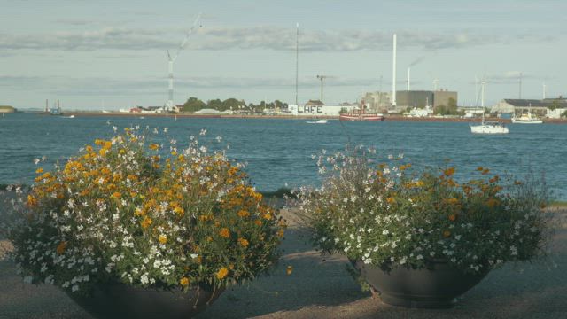 Industrial harbor and waterfront.