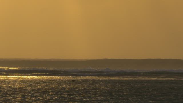 Golden sunset and tall waves.