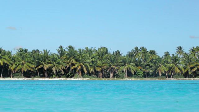 Beautiful coastline and ocean.